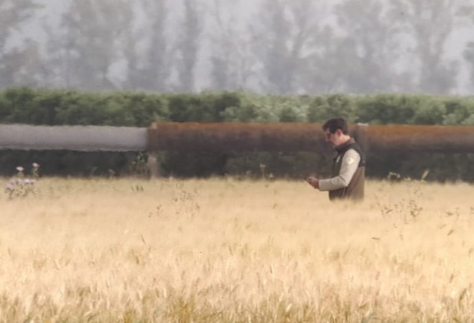 Veterinarios en granja